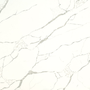 Calacatta Bello Quartz